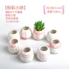 Maceta para pulgar suculenta mini mini maceta para pulgar maceta de cerámica para flores suculentas planta creativa flor pequeña Ma Long mesa Mai Tai Bao