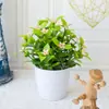 Planta Artificial de Vasinho para Venda Quente Transfronteiriça, Planta Verde Falsa, Flor Artificial, Decoração de Mesa para Cozinha e Sala de Estar, Flor de Plástico