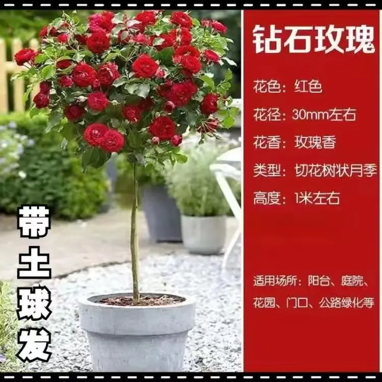 微信图片_20221024201142