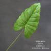 Simulación de planta verde, hoja de alocasia, impresión 3D, hojas de lluvia de primavera, decoración de boda, flores de carretera, plantas, decoración de pared, hojas