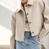 AliExpress Europeu e Americano Transfronteiriço 2024 Nova Moda Feminina Casual Gola Lapela Joker Duas Cores Pelúcia Jaqueta Curta
