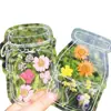Marcadores de flores secas, materiales para manualidades DIY, película plástica transparente, especímenes creativos de plantas y hojas para estudiantes, jarrones de flores prensadas