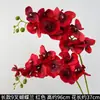 Flores de Orquídea Realistas de 38 pulgadas de Amazon para Fondos de Boda y Decoraciones Florales Orquídeas Artificiales