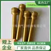 Sonda de Sensor de Temperatura del Agua Sensible a la Precisión Sensor de Temperatura Carcasa de Cobre Temperatura del Aceite Temperatura del Agua Sonda Metálica Completamente de Cobre