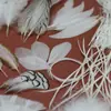 Acessórios para Joias DIY de Pena Branca Pena Branca Pena de Casamento Pena de Ganso Pena de Peru Acessórios Decorativos