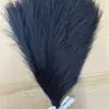 Hierba de pampa artificial corta de seis puntas transfronteriza flor de simulación en stock decoración del hogar pluma de simulación accesorios de boda al por mayor