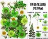 Bolsa de Rafia para Plantas Bolsa de Material para Estampado de Flores Secas Espécimen de Hoja de Flor Real Pintura DIY Marcapáginas Goteo de Pegamento Posavasos de Flores Secas