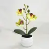 Flor Simulada Cymbidium Planta en Maceta Decoración Escandinava Oficina Sala de Estar Escritorio Interior Bonsái Planta Verde Adornos Flor Simulada