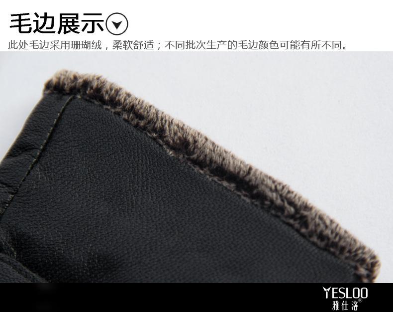 Y-17003_26