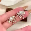Brincos de Pérola Fogos de Artifício: Luxo Leve, Sensação de Alta Qualidade, Design Elegante e Único, Brincos Estilosos para o Dia a Dia Atacado