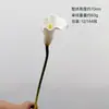 Flores Artificiais PU Lírio-do-calla Flor Falsa Decoração de Casa Toque Realista Borda Enrolada Lírio-do-calla Haste Longa Alocasia Arranjo Floral de Casamento