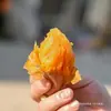 Yanshu 25 Camote, Camote con Miel, Camote Corazón de Azúcar, Camote Rojo Corazón que Suelta Jugo, Camote Fresco Cultivado en Granja, Camote Asado, Camote con Miel de Tierra Arenosa, Suministro Directo