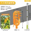 El artefacto para recoger fruta se puede conectar al poste largo telescópico para recoger níspero, caqui, mirto, manzana, longan, azufaifa, albaricoque, nuez, fruta