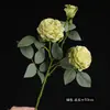 Arranjo de Flores Secas Estilo Pintura a Óleo Vintage com Borda Queimada de Rosa e Lótus para Sala de Estar, Mesa de Jantar, Gabinete de TV, Decoração de Flores, Peônia