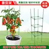 Estante para Pepinos, Soporte para Tomates Trepadores, Soporte para Plantas Trepadoras, Estante para Berenjenas, Estante para Frijoles Trepadores, Jardinería en Pilares