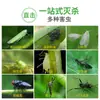Popular Tablero Trampa Pegajoso para Insectos de Comercio Exterior, Tablero Pegajoso Amarillo de Doble Cara para Insectos Pequeños Voladores, Trampa para Huertos, Pegatina Mata Moscas para Invernaderos, Papel Pegajoso Fuerte para Moscas