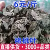 Folhas de Amora, Folhas de Amora, Folhas de Amora, Folhas de Amora Atacado Dropshipping