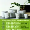 Maceta Pequeña de Suculentas para Escritorio Maceta de Plástico Resina Ecológica Maceta Base para Cactus Maceta Simple Maceta para Flores Phalaenopsis