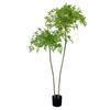 Simulação Plantio Verde Bambu Nantian em Vaso Árvore Artificial Falsa Paisagem Casamento Fotografia Interna Decoração Ornamentos