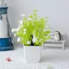 Venta caliente transfronteriza simulación mini planta planta falsa planta verde falsa decoración de escritorio plástico 31 mallas flor de hadas bonsái