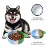 Tigela Slow Food para Animais de Estimação, Anti-Engasgo, Tigela de Silicone Antiderrapante para Cães, Tigela para Cães, Anti-Tombamento, Utensílios para Alimentação Lenta de Cães e Gatos, Alimentador para Cães