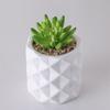 Salida de Fábrica Maceta Mini Flor Carnosa Personalizable Maceta Pequeña Linda para Pulgar Horno Cerámico Flor Vintage Moderna