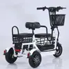 Triciclo Elétrico, Pequeno, Leve e Dobrável para Buscar Crianças e Senhoras, Uso Doméstico para Idosos, Leidezhu