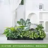 [Serie Hc-Ap7] Planta de Decoración con Flores Artificiales Separación de Plantas Canaleta de Flores Combinación de Paisaje Paisajismo Biónico Decoración de Interiores