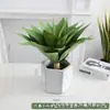 Simulação Planta Verde Bonsai Sisal Folha Grande Gladíolo Planta do Deserto Tropical Janela Paisagismo Decoração Planta Artificial Ponto