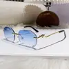 Gafas de Sol de Moda Más Vendidas 2026 Que Realzan los Rasgos Faciales y Hacen que el Rostro Parezca Más Pequeño, Estilo Europeo y Americano Versátiles de Gama Alta Gafas Sin Marco con Cabeza de Leopardo
