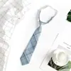 Jk Tie Female Lazy Nude-Free Brown Stripe Japanese Style College Style Decorative Wine Red Dk Shirt Boys Casual