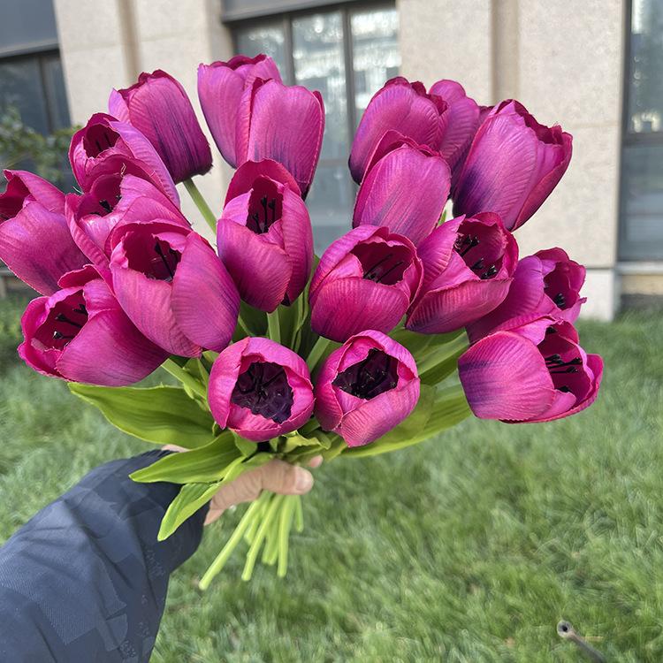 20头把束花蕊郁金香-深紫红.JPG