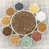 Suculentas auto-combinadas Solo para plantio Solo nutritivo Solo granular para pavimentação Material de plantio de turfa Areia de rio respirável Solo de pedra de cultivo
