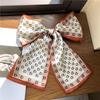 Bufanda larga pequeña de cinta de satén de primavera y otoño bufanda bufanda para mujer bufanda larga para mujer corbata regalo regalo gratis venta al por mayor