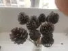 Piña flor seca adornos de Navidad colgante adornos creativos accesorios para fotografía piña flor seca hecho a mano materiales DIY