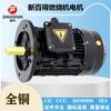 [Motor Zhuo Fan] Motores especiales para quemadores New Baide y Riyalu Funcionan suave y con alta eficiencia Motores con carcasa de aluminio