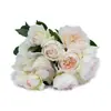 Bolero de una pieza para envío directo, plántulas de flor de rosa, plantas en maceta, florecen en todas las estaciones y son fragantes para balcón y patio, rosas de color rosa claro