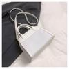 Bolso Tote Nicho Fresco Primavera 2025 Nueva Moda Bolso Bandolera de Hombro Único para Mujeres Bolso Cuadrado Pequeño Cool de Alta Gama para Mujeres