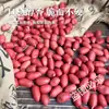 Nuevos Cacahuetes de Piel Roja 2024 Paquete de 2.5 kg Sabor Original Cuatro Cacahuetes Crudos Rojos con Cáscara Cacahuetes de Piel Roja a Granel