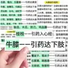 106 Piezas de Pegatinas Medicinales con Conocimientos Básicos de Medicina Tradicional China, Pegatinas Decorativas DIY para Diarios, Escritorios y Paredes