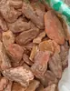 El lecho para reptiles hecho de corteza de pino es más natural y seguro para tortugas, lagartijas y serpientes en sus terrarios