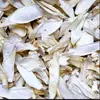 [Proveedor de Servicio de Alimentos] Setas shiitake secas, laminadas, adecuadas para sopas, salteados y uso comercial en restaurantes; disponible al por mayor