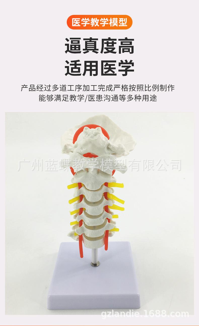 详情_05.jpg