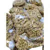 Molde tapón de plástico, tapón de agua, tapón de agua, tapón de agua de nylon, tapón de columna de parada de agua 121416182022242630