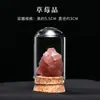 Venta al por mayor de fábrica Piedra Bruta de Cristal Natural Muestra de Mineral para Niños Divulgación Científica Enseñanza Piedra Semipreciosa Adorno de Escritorio para el Hogar