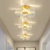 Luz de Techo de Doble Capa de Hierro, Entrada de Balcón de Lujo Sencillo, Entrada Creativa con Guía de Luz, Pasillo de Vestíbulo, Pasillo de Celebridad de Internet, Concha