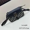 Bolsa de Sillín D Brand 25 Modelo Nuevo Bolso de Hombro de Lujo Ligero Bolso Cruzado Simple de Moda Bolso Cuadrado Pequeño Versátil para Viajes Diarios