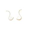 Pendientes de perlas naturales de agua dulce para mujer, elegantes pendientes de circonita en forma de S, chapados en cobre, accesorios de oro, regalo para celebridades de Internet, mismo estilo.