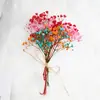 Flores Preservadas, Flores Secas, Recuerdos Navideños, Mini Ramos, Botellas de Aromaterapia, Ramilletes, Cajas de Regalo Navideñas, Fabricantes de Regalos Decorativos