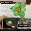 Colorante para flores, absorbente de color para rosas, solución absorbente de color, tinte, colorante para ramos y floristerías